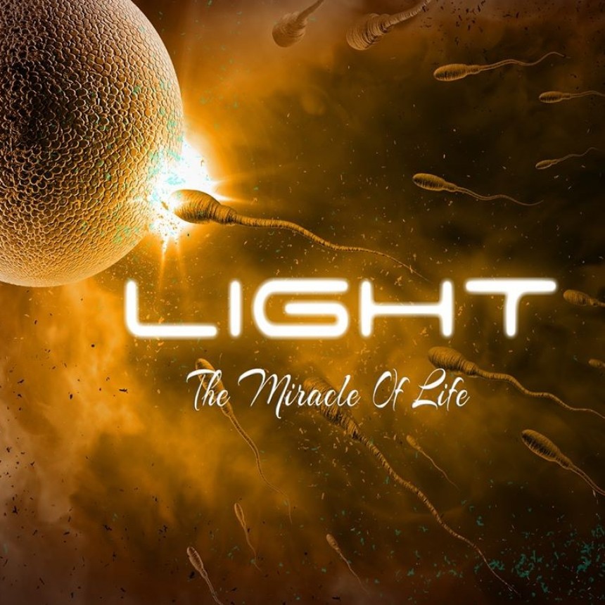Un milagro se hace luz-LIGHT
